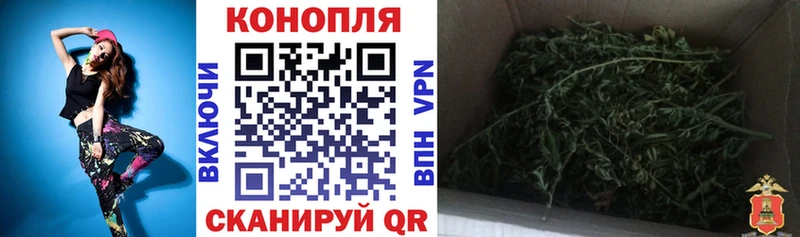 Бошки Шишки гибрид  Купить  Городовиковск 